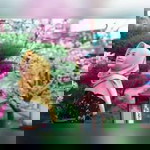 Frisha Asia profile icon