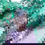 Lutvirach Setyono profile icon