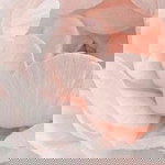 สุนันญา แสนสุข profile icon