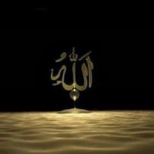 Agustin Risma profile icon