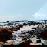 Jessa Mae Matoguina profile icon