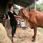 จันทิรา ครองยศ profile icon