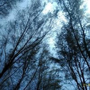 Mutma Inah profile icon