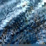 Mutma Inah profile icon