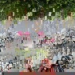 Hamidah profile icon