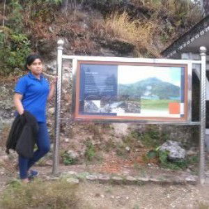 Novia Silalahi profile icon