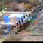 Novia Silalahi profile icon