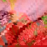 Awang Selengean profile icon