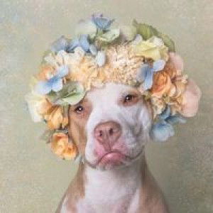 Wanalee Sangaunsak profile icon