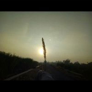 Fal Shafyy profile icon