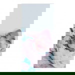 Dina Dina profile icon