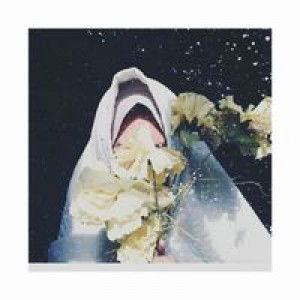 Sitti Asriani Syahrir profile icon