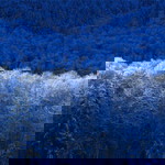 orathai banrid profile icon