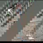 Devi Ayu Ardiani profile icon