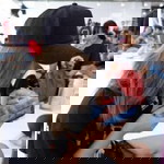 Nugning Chananphat profile icon