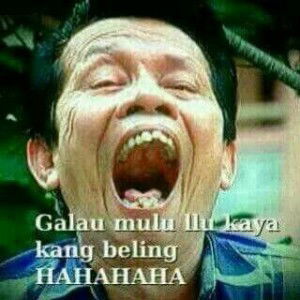 nov riko profile icon