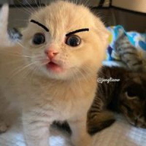 อะไร ครับเนี่ย profile icon