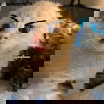 อะไร ครับเนี่ย profile icon