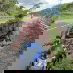 Armankocan Arman profile icon