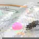 ALmeera Abu Bakar Ibba - Contaoe profile icon