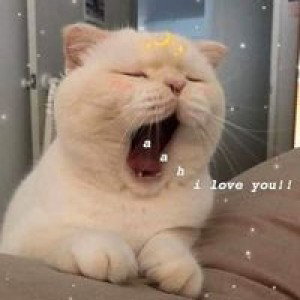 Mee Na profile icon