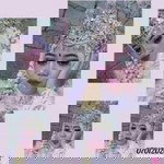 Shofy Nurshaadah profile icon