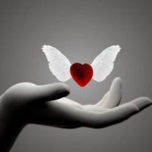 Yanivie Salamera Eduvala profile icon