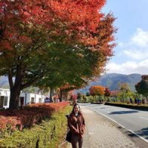 Kronkamol Inson profile icon