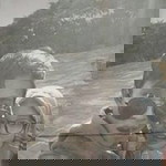 Sholepe Lopa Lope profile icon