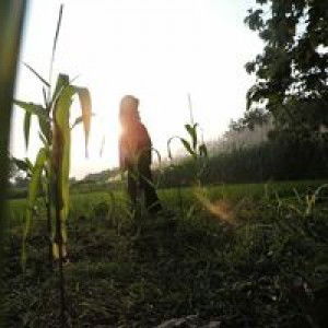 Ana Najma profile icon