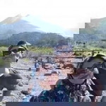 Stevia Indira profile icon