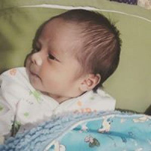 Anisa Nisa profile icon