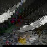 Sofiah Ghazali profile icon