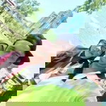 Murni AbdulJalil profile icon