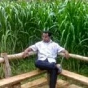 Abdultolek Pogsa profile icon