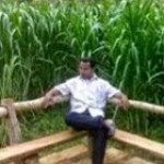 Abdultolek Pogsa profile icon