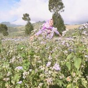 Yha Yha profile icon