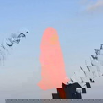 neneng suryani putri profile icon