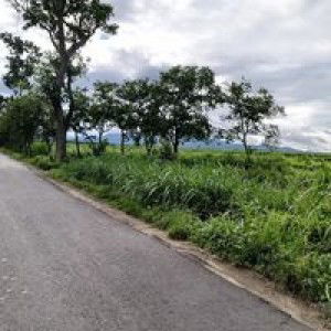 Mmujji Putunembahpirah profile icon