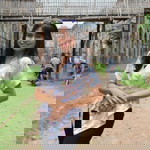 Saras Filemon profile icon