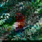 Beam Kanyanee profile icon