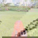 Gift Sasikarn profile icon