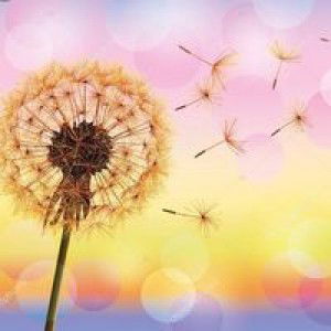 Sarah Julian Bautista profile icon