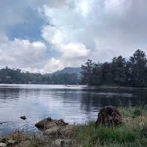 Fattonah Putri profile icon