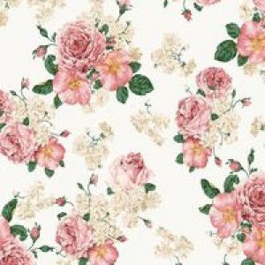 Nur Lynn profile icon