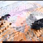 Filipda Suriyacharearn profile icon