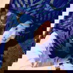 Sii'e Neng Odiiy profile icon