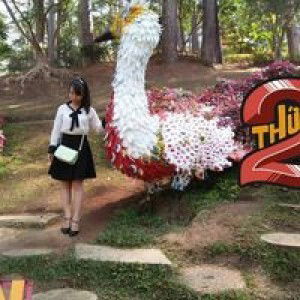 Nguyễn Kim Huệ profile icon