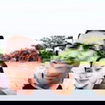 Riyan Lufi profile icon