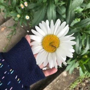 Nisfa Nurfadilah profile icon